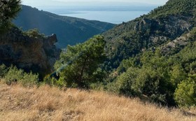 Arikli Han Kazdaglari