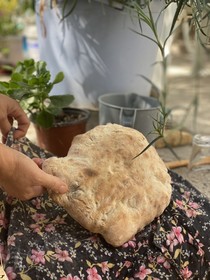 Arikli Han Kazdaglari
