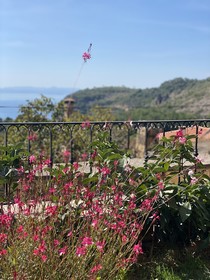 Arikli Han Kazdaglari