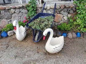 Denizin Evi Butik Otel