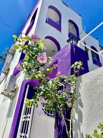 Nassos Butik Otel Ve Restaurant