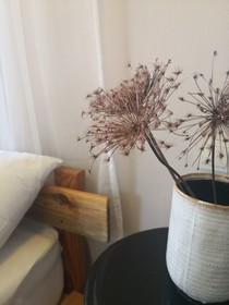 Veranda Glamping Butik Hotel