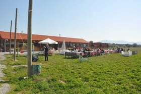 Ayvalik Sural Çiftligi Since 1899