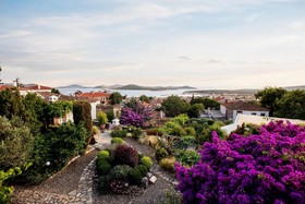 Begonvilla Evleri