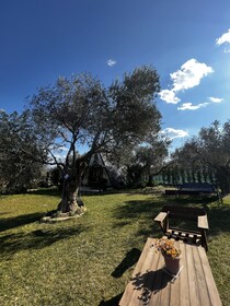 Byelka Bungalov