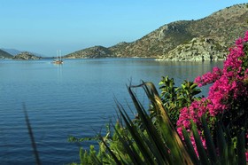 Dolphin Boutique Hotel