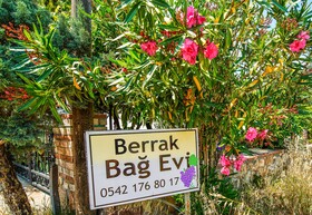 Berrak Bag Evi