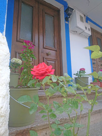 Bozcaada Balci