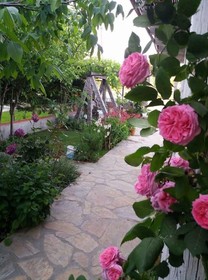 Bozcaada Iris Otel