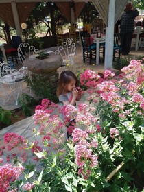 Bozcaada Iris Otel