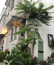 Ceviz Butik Otel