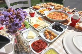 Fitoz Otel