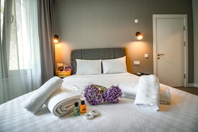 Irinikos Otel