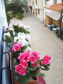Sardunya Otel