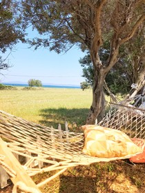 Tenedos Tatil Odalari