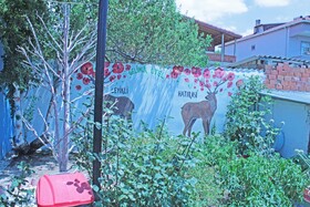 Gelincik Pansiyon