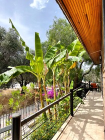 Ata Boutique Hotel