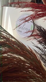 Belong Butik Hotel