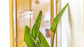 Bo Boutique Hotel Alacati