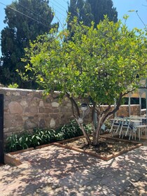 Litri Otel