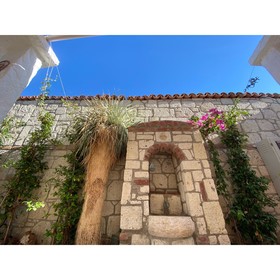 My Dream Alacati
