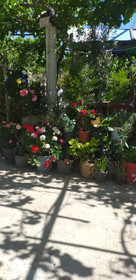 Seda Pansiyon