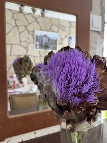 Woodstock Alaçati