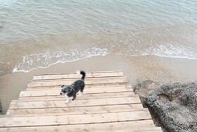 Zay'a Otel & Beach