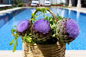 Limonaia Hotel