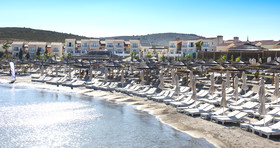 Cocos The Club Solto