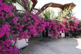 Murat Pasa Konagi Boutique Hotel