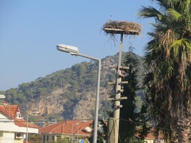 Villa Sevval
