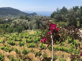 Villa MaVie