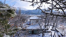 Torrhebia Dag Evi