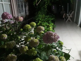 Asbella Otel