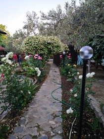 ZeytinDagi Bungalow Butik Otel