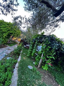 ZeytinDagi Bungalow Butik Otel