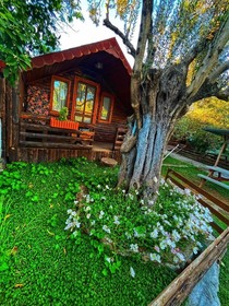 ZeytinDagi Bungalow Butik Otel