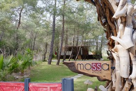 Mossa Afkule
