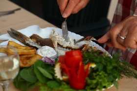 Hotel Pelin