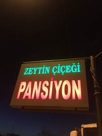 Zeytin Cicegi Pansiyon