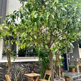 8 Rooms House