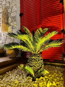 Alacati Lulja Boutique Hotel