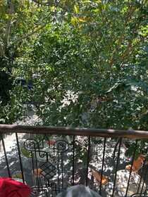 Asclepius Boutique Hotel & Cafe