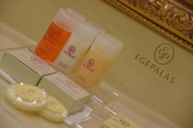 Ege Palas Business Hotel