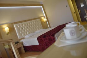 Ege Palas Business Hotel