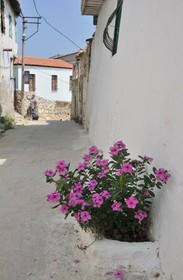 Anzac Golden Bed Boutique Pension