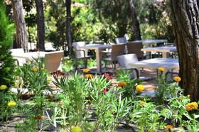 Pine Villas & Apartments Kusadasi