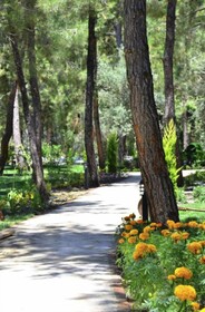 Pine Villas & Apartments Kusadasi