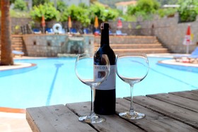 Mountain Valley Apartments & Villa's
